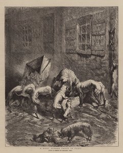 Dîner de chiens à Paris