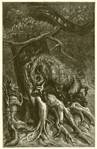Le Renard et le Sanglier