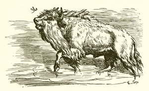 Le Moucheron et le Taureau