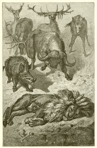 Le Vieux Lion