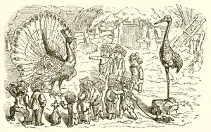 Le paon et la grue