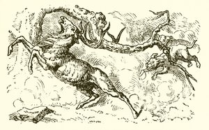 Le cerf regardant dans la mare - Ernest Henry Griset