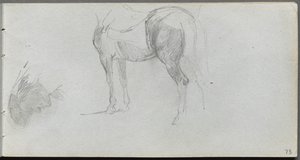 Carnet de croquis, page 73 : Étude d