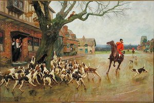 Un renard en détresse