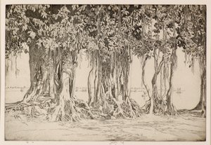 Le banian - Ernest Stephen Lumsden