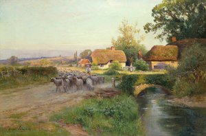 Retour au bercail