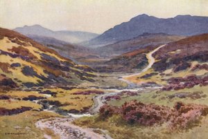 Un chemin de lande, Le Pont du Diable