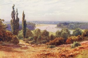 La Tamise : La Tamise, depuis Richmond Hill