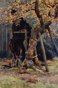Le Garde-Manger de Robin des Bois