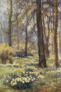 Le désert au printemps - Ernest William Haslehust