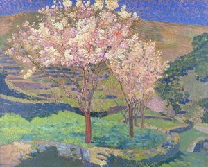 Arbres en fleurs avec terrasses