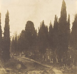 Turquie : Cimetière de Scutari, 1852 (photo) - Ernest de Caranza