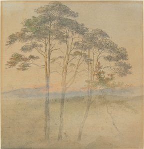 Pins dans un brouillard matinal - Ernst Ferdinand Oehme