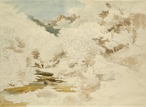 Bois près de Massa - Ernst Fries