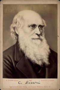 Charles Darwin, naturaliste britannique, c1860s-c1870s - Ernst Hader