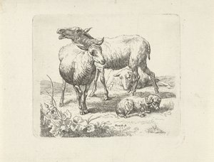 Trois moutons et un agneau dans un pré - Ernst Ludwig Creite
