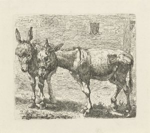 Deux ânes