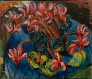 Cyclamen à Noël