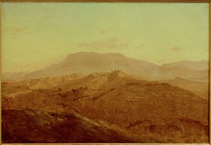 Vue d