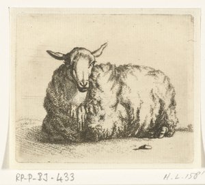 Mouton couché de face - Ernst Willem Jan Bagelaar