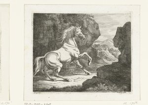 Cheval blanc cabré - Ernst Willem Jan Bagelaar