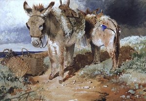 Ânes, 1855