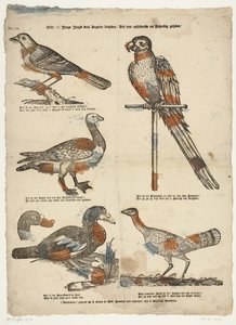 Oh! jeune jeunesse, regardez ces oiseaux - Erven de Weduwe Jacobus van Egmont