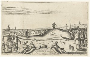 Baleine échouée sur la plage de Noordwijk, 1614