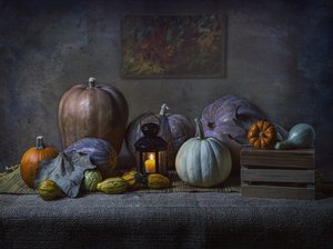 Citrouilles d