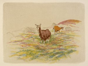Chèvres dans un champ