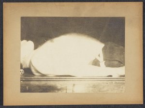 Marey dans une étude de la respiration - Etienne Jules Marey