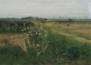 Champ de tulipes en fleurs - Eugen Jettel