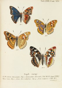 Die Schmetterlinge, 1777-1794 - Eugen Johann Christoph Esper