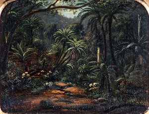 Ferntree Gully dans les Dandenong Ranges
