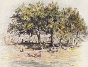 Frère Juniper coupe le pied d