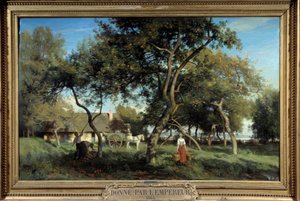Cueillette des pommes en Normandie en 1865 - Eugene Antoine Samuel Lavieille