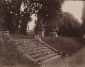 Parc de Sceaux,1925 (photo) - Eugène Atget