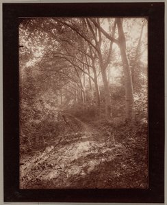 Parc de Sceaux - Eugène Atget