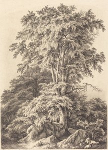 Bosquet de hêtres, 1840 - Eugene Bléry