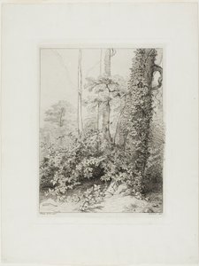 Ronce et lierre - Eugene Bléry