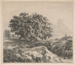 Le chêne au ravin - Eugene Bléry