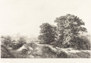 Chênes dans les Vaux de Cernay