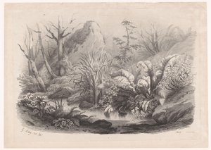 Plantes riveraines près d