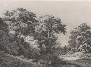 Le bord des bois, près de Rambouillet