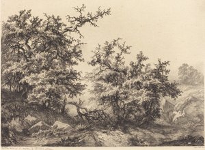 Buissons épineux - Eugene Bléry