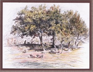 Frère Juniper coupe le pied d