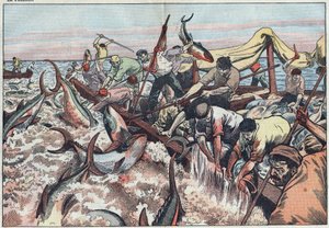 Pêche au thon en Tunisie - Le thon est attrapé dans le dernier filet connu sous le nom de « corpo », il est harponné et hissé dans le bateau de pêche. Illustration de Damblans. Dans « Le Pèlerin » du 30 août.