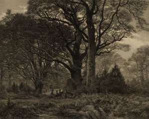 Forêt de Fontainbleau