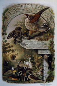 Page de titre de l