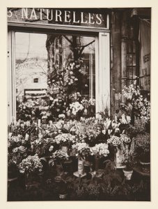 Boutique de fleurs -37 - Eugène Atget